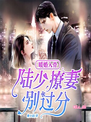 cover image of 暖婚入骨：陆少，撩妻别过分（下）